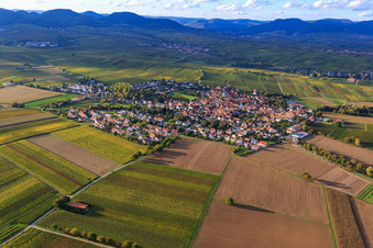 Vue aérienne de Vue de la ville entre les vignobles automnaux depuis le sud-est à le quartier Mörzheim in Landau in der Pfalz dans le département Rhénanie-Palatinat, Allemagne