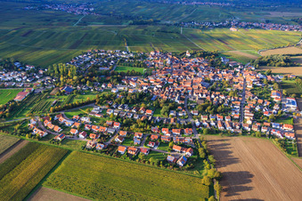 Vue aérienne de Vue d'ensemble du village entre les vignes automnales du sud à le quartier Mörzheim in Landau in der Pfalz dans le département Rhénanie-Palatinat, Allemagne