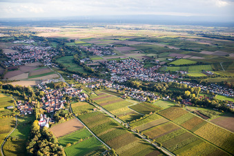Vue aérienne de Quartier Billigheim in Billigheim-Ingenheim dans le département Rhénanie-Palatinat, Allemagne