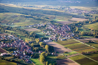 Vue aérienne de Quartier Billigheim in Billigheim-Ingenheim dans le département Rhénanie-Palatinat, Allemagne