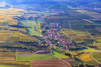Vue aérienne de Vue du village entre les vignobles automnaux depuis l'est à Niederhorbach dans le département Rhénanie-Palatinat, Allemagne