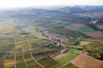 Vue aérienne de Vignobles à Niederhorbach dans le département Rhénanie-Palatinat, Allemagne