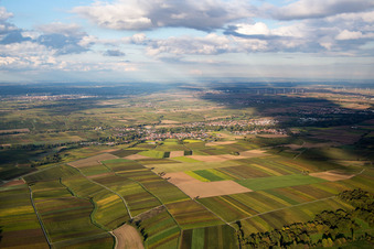 Vue aérienne de Du sud à le quartier Billigheim in Billigheim-Ingenheim dans le département Rhénanie-Palatinat, Allemagne