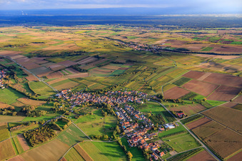 Vue aérienne de Vue du village entre les vignobles automnaux depuis le nord-ouest à Oberhausen dans le département Rhénanie-Palatinat, Allemagne