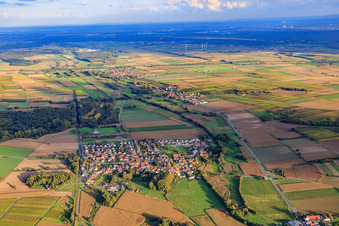 Vue aérienne de Vue du village devant le Billigheimer Bruch à Barbelroth dans le département Rhénanie-Palatinat, Allemagne