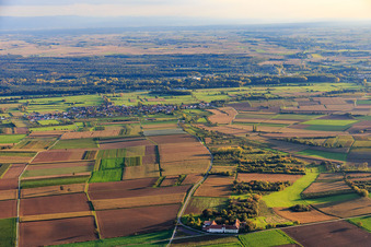 Vue aérienne de Atelier pour la vie assistée Atelier pour les talents cachés à but non lucratif GmbH à Haftelhof à Schweighofen dans le département Rhénanie-Palatinat, Allemagne