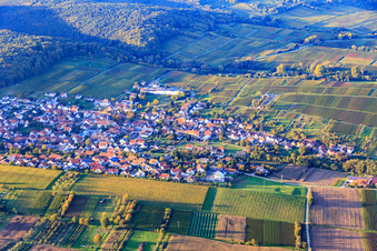 Vue aérienne de Rotackerweg entre les vignobles automnaux du sud à Oberotterbach dans le département Rhénanie-Palatinat, Allemagne