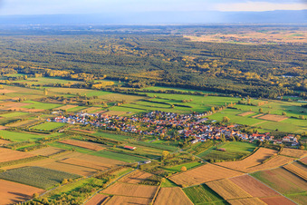 Vue aérienne de Vue du village entre champs et prairies automnales depuis le nord à Schweighofen dans le département Rhénanie-Palatinat, Allemagne