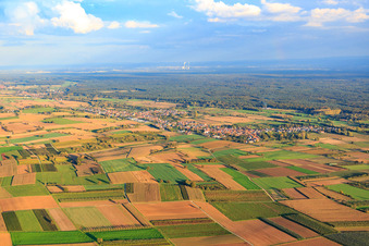 Vue aérienne de Vue du village entre champs et prairies automnales depuis le nord-ouest à Steinfeld dans le département Rhénanie-Palatinat, Allemagne