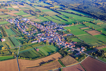 Vue aérienne de Vue d'ensemble du village entre champs et prairies automnales avec l'église Saint-Laurent du nord-ouest à Schweighofen dans le département Rhénanie-Palatinat, Allemagne