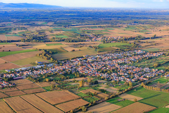 Vue aérienne de Vue d'ensemble du village entre champs et prairies automnales depuis l'ouest à Steinfeld dans le département Rhénanie-Palatinat, Allemagne