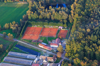 Vue aérienne de Waldhof Frey en bordure du Bienwald et des courts de tennis à Steinfeld dans le département Rhénanie-Palatinat, Allemagne