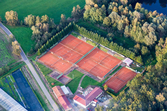 Vue aérienne de Court de tennis de couleur rouge-brun du TC Bienwald au Restaurant zum Bienwald à Steinfeld dans le département Rhénanie-Palatinat, Allemagne