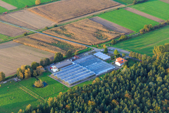 Vue aérienne de Serres du Pays des Cactus Steinfeld en bordure de la Forêt des Abeilles à Steinfeld dans le département Rhénanie-Palatinat, Allemagne
