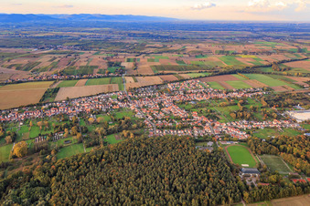 Vue aérienne de Vue du village entre champs et prairies automnales à la lisière de la forêt de Bienwald depuis le sud à le quartier Schaidt in Wörth am Rhein dans le département Rhénanie-Palatinat, Allemagne