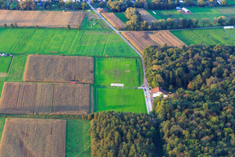 Vue aérienne de Stade du TSV 1908 Freckenfeld au bord du Bienwald depuis le sud à Freckenfeld dans le département Rhénanie-Palatinat, Allemagne