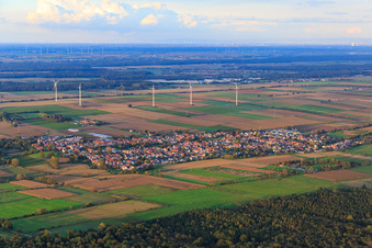 Vue aérienne de Vue d'ensemble du village entre champs et prairies automnales sur le Viehstrich depuis le sud à Minfeld dans le département Rhénanie-Palatinat, Allemagne