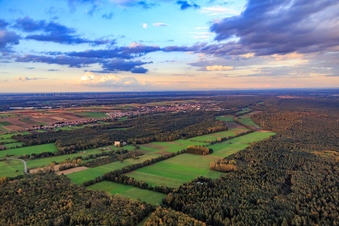Vue aérienne de Prairies fauchées dans la plaine d'Otterbach à Minfeld dans le département Rhénanie-Palatinat, Allemagne