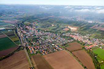 Vue aérienne de Champs agricoles et terres agricoles à Monsheim dans le département Rhénanie-Palatinat, Allemagne
