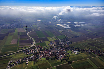 Vue aérienne de Vue du village entouré de vignobles automnaux depuis l'est à Monsheim dans le département Rhénanie-Palatinat, Allemagne