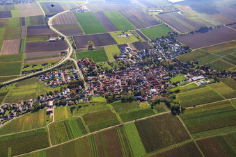 Vue aérienne de Vue du village entouré de vignobles automnaux depuis l'est à Monsheim dans le département Rhénanie-Palatinat, Allemagne