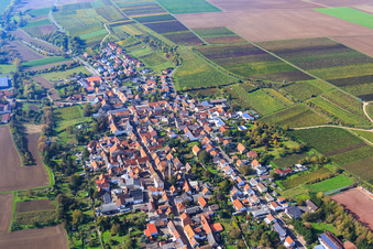 Vue aérienne de Vue du village en contrebas des vignes automnales depuis l'est à Kindenheim dans le département Rhénanie-Palatinat, Allemagne