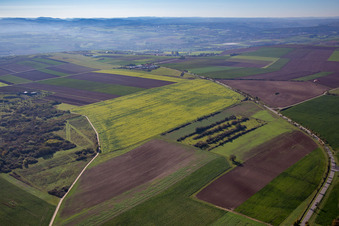 Vue aérienne de Grünstadt, escale à l'aérodrome de vol à voile de Quirnheimer Berg à Kindenheim dans le département Rhénanie-Palatinat, Allemagne