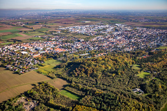 Vue aérienne de Du nord-ouest à Grünstadt dans le département Rhénanie-Palatinat, Allemagne
