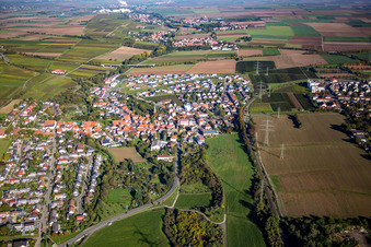 Vue aérienne de Vue des rues et des maisons dans les quartiers résidentiels à le quartier Asselheim in Grünstadt dans le département Rhénanie-Palatinat, Allemagne
