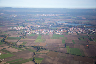 Vue aérienne de Quartier Roxheim in Bobenheim-Roxheim dans le département Rhénanie-Palatinat, Allemagne
