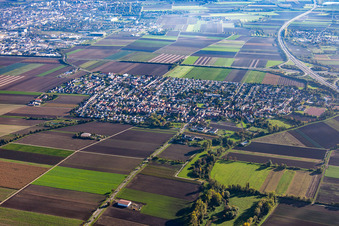 Vue aérienne de Beindersheim dans le département Rhénanie-Palatinat, Allemagne
