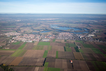 Vue aérienne de Quartier Roxheim in Bobenheim-Roxheim dans le département Rhénanie-Palatinat, Allemagne