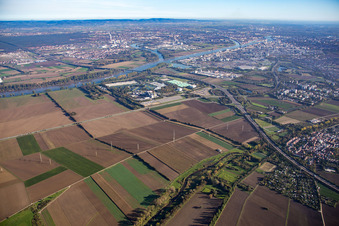 Vue aérienne de N à le quartier Mörsch in Frankenthal dans le département Rhénanie-Palatinat, Allemagne