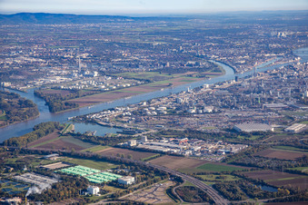 Vue aérienne de Nord à le quartier BASF in Ludwigshafen am Rhein dans le département Rhénanie-Palatinat, Allemagne