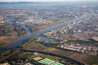 Vue aérienne de Île sur les rives du Rhin et du Friesenheimer Altrhein dans le district de Friesenheimer Insel à le quartier Neckarstadt-West in Mannheim dans le département Bade-Wurtemberg, Allemagne