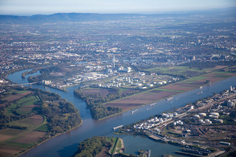 Vue aérienne de BASF Friesenheim à le quartier Neckarstadt-West in Mannheim dans le département Bade-Wurtemberg, Allemagne