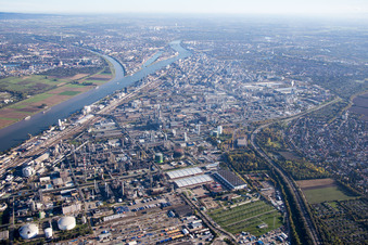 Du nord à le quartier BASF in Ludwigshafen am Rhein dans le département Rhénanie-Palatinat, Allemagne vue du ciel