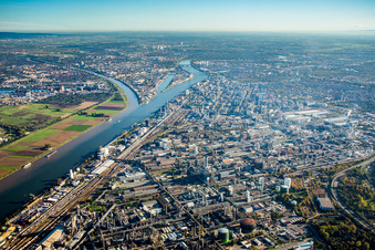 Vue aérienne de Locaux de l'usine du producteur de produits chimiques BASF à le quartier BASF in Ludwigshafen am Rhein dans le département Rhénanie-Palatinat, Allemagne