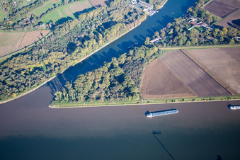 Vue aérienne de Friesenheim Vieux Rhin à le quartier Neckarstadt-West in Mannheim dans le département Bade-Wurtemberg, Allemagne