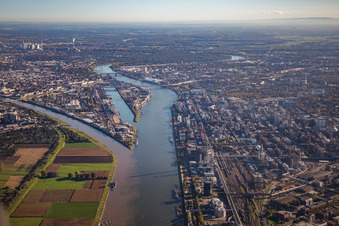 Vue aérienne de Mühlauhafen et estuaire du Neckar à le quartier Innenstadt in Mannheim dans le département Bade-Wurtemberg, Allemagne