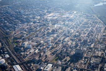 Vue aérienne de Quartier BASF in Ludwigshafen am Rhein dans le département Rhénanie-Palatinat, Allemagne