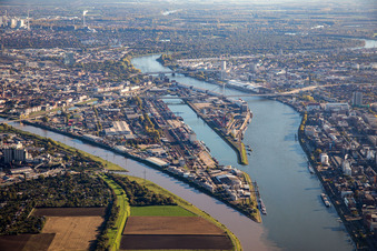 Photographie aérienne de Mühlauhafen et estuaire du Neckar à le quartier Innenstadt in Mannheim dans le département Bade-Wurtemberg, Allemagne