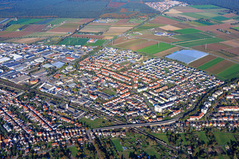 Vue aérienne de Quartier de Rosenstock à Lampertheim dans le département Hesse, Allemagne
