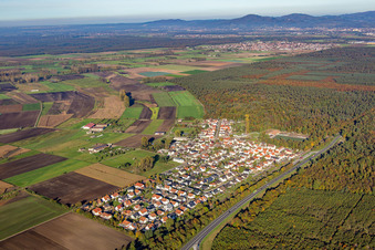 Vue aérienne de Quartier Riedrode in Bürstadt dans le département Hesse, Allemagne