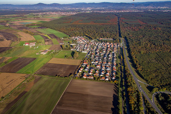Photographie aérienne de Quartier Riedrode in Bürstadt dans le département Hesse, Allemagne