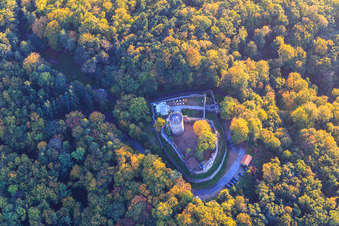 Vue aérienne de Château Alsbach à le quartier Alsbach in Alsbach-Hähnlein dans le département Hesse, Allemagne