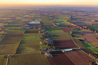 Vue aérienne de Village de rue vu du sud à le quartier Allmendfeld in Gernsheim dans le département Hesse, Allemagne