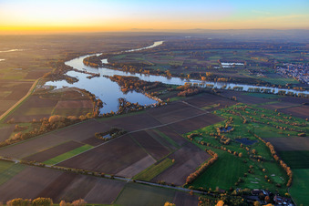 Vue aérienne de Terrain de golf du GC Worms devant la zone de week-end et la marina du MSC Gernsheim à l'Eicher See sur le Hammer Rheinbogen à Hamm am Rhein dans le département Rhénanie-Palatinat, Allemagne