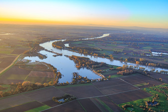 Vue aérienne de Zone de résidence secondaire et marina du MSC Gernsheim au bord du lac Eicher See sur le Hammer Rheinbogen à Eich dans le département Rhénanie-Palatinat, Allemagne