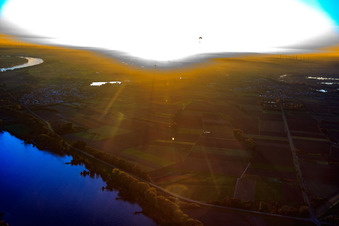 Vue aérienne de Gernsheimerfahrt au bord du Rhin à Hamm am Rhein dans le département Rhénanie-Palatinat, Allemagne